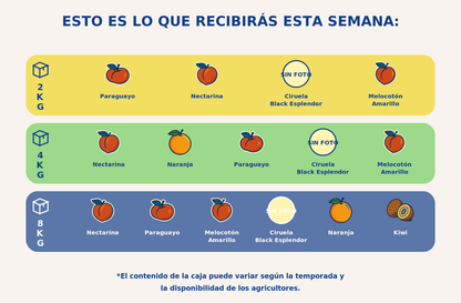 Caja grande de fruta - semana 2026-06-12T18:02:25.447441+02:00
