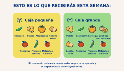 Caja grande de mixta - semana 2026-07-10T00:00:42.630177+02:00