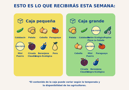 Caja grande de mixta - semana 2026-07-30T17:38:13.644545+02:00