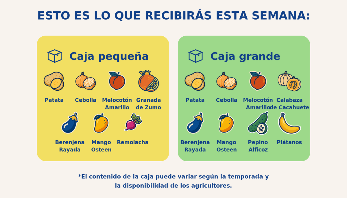 Caja grande de mixta - semana 2026-09-10T13:51:34.401596+00:00