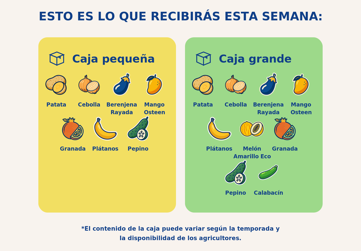 Caja grande de mixta - semana 2026-10-08T14:43:52.693282+00:00