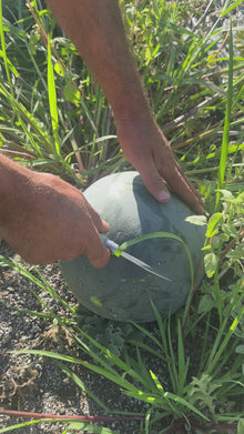 Sandía Ecológica - 8kg