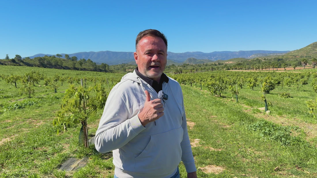 Cargar video: 