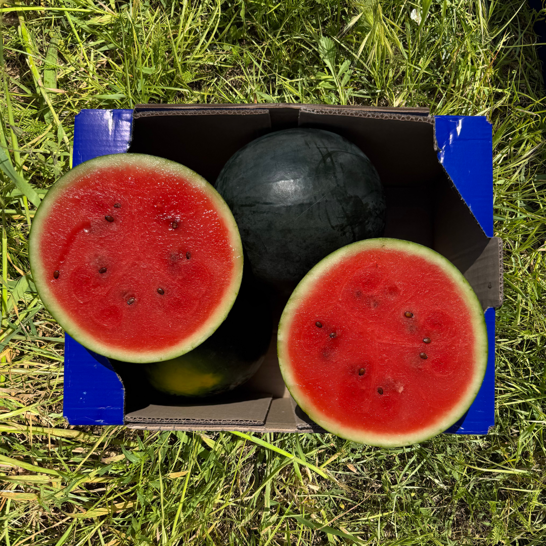 Sandía Ecológica - 7.5kg