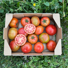 Tomate de Ensalada de Nuestros Agricultores
