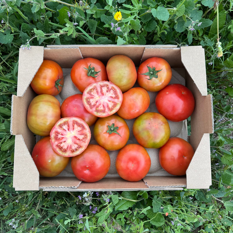 Salattomate