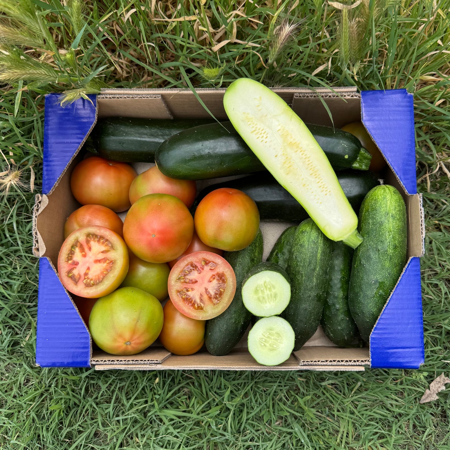 1.5kg Tomate Ensalada + 1kg Calabacín + 1kg Pepino