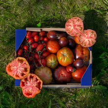 Tomate Variado Premium de Francisco - 4kg