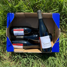 Vino Tinto Ecológico - 4 botellas