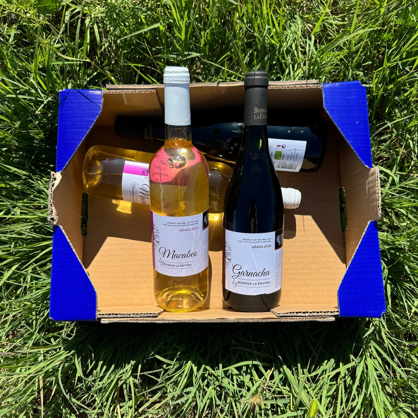 2 Flaschen Rotwein + 2 Flaschen Weißwein